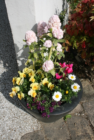 c0248269_1749285.jpg