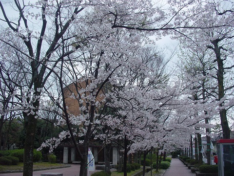 b0194872_19434754.jpg
