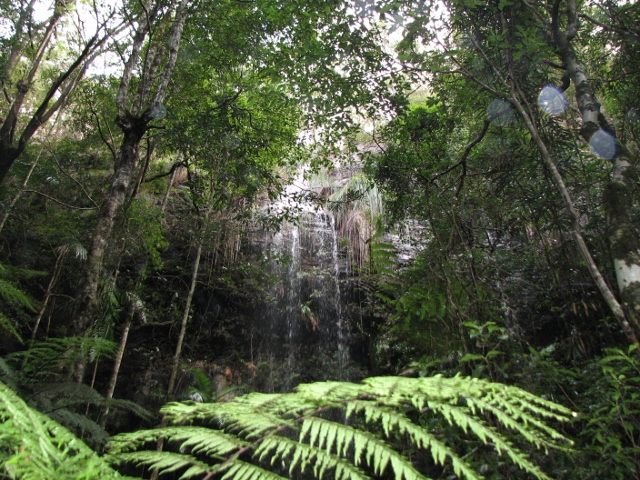 e0037673_014545.jpg