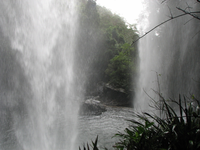 e0037673_0241780.jpg