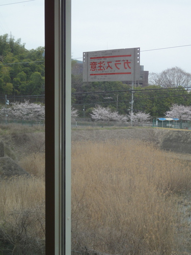 a0153577_1033129.jpg