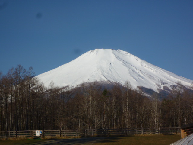 e0165577_10491589.jpg