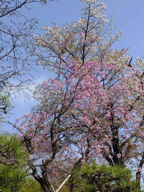 e0145782_2120325.jpg