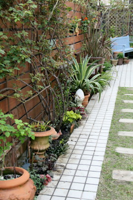 e0154682_2253468.jpg