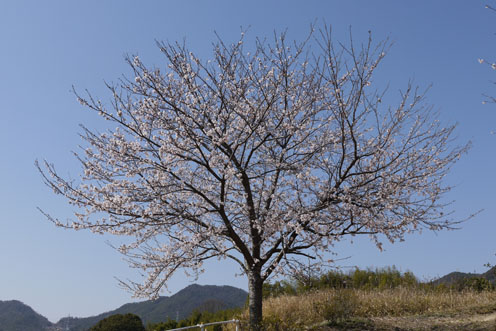 f0222692_182453.jpg