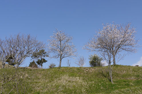 f0222692_18251840.jpg