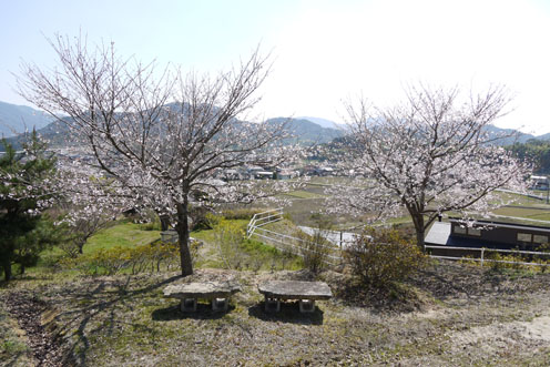 f0222692_18261228.jpg