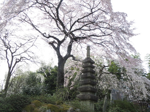 e0111793_137052.jpg