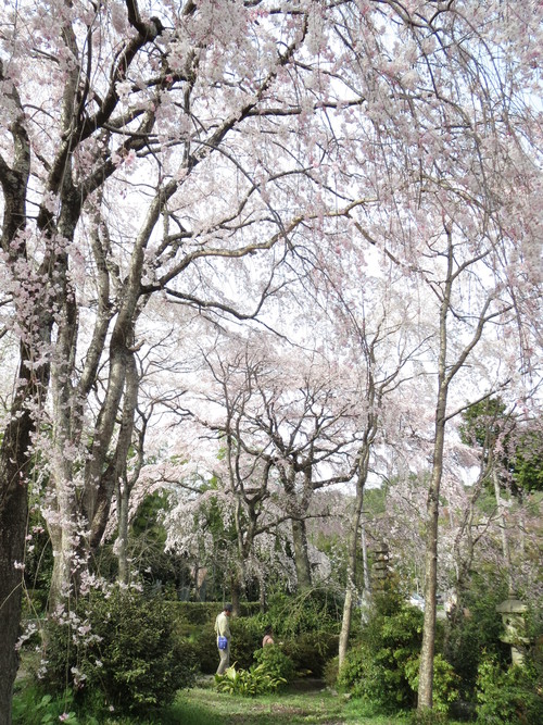 e0111793_1414945.jpg