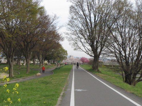 e0111793_2131464.jpg