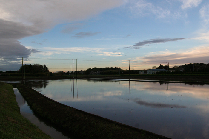d0100095_18251419.jpg