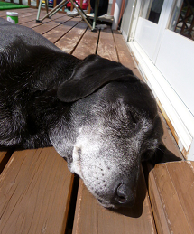 d0282395_2122227.png