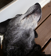 d0282395_2123043.png