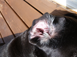 d0282395_2123639.png