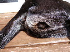 d0282395_2124930.png