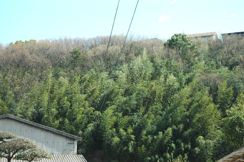 f0125895_22344877.jpg