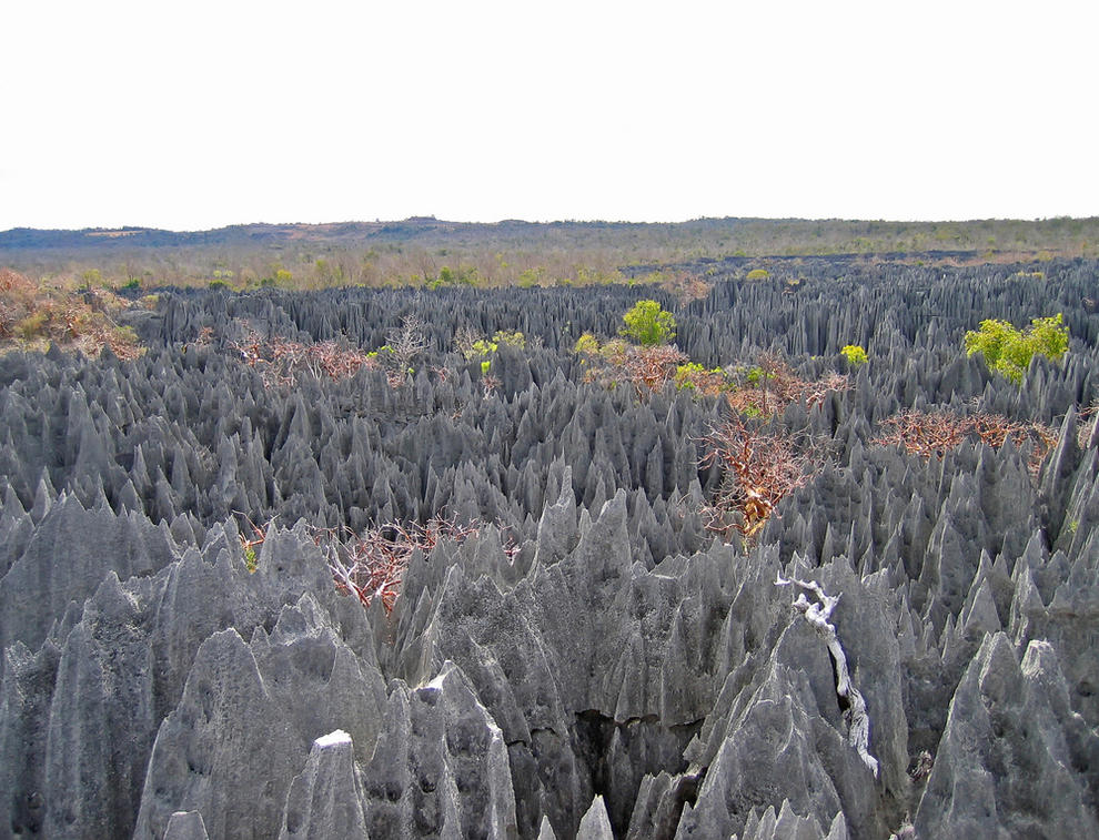 c0072801_7234559.jpg