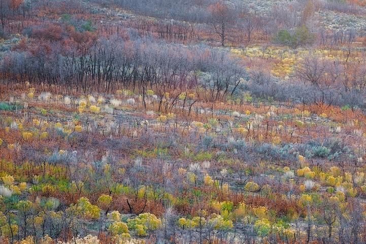 c0072801_7355294.jpg