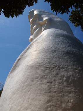 b0180502_20363539.jpg