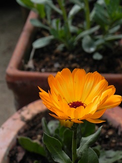 c0152002_9144518.jpg