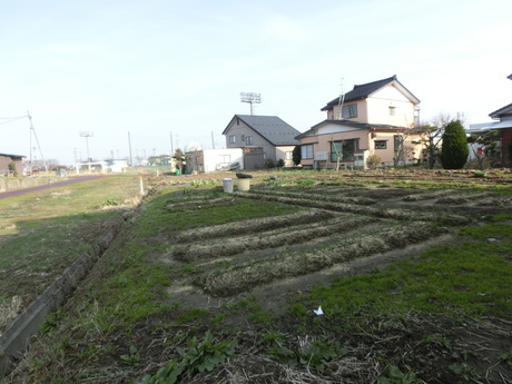 a0203003_221213.jpg