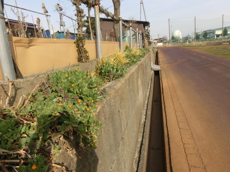 a0203003_22133.jpg