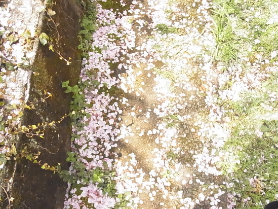 c0238603_1021236.jpg