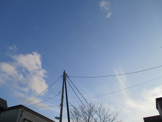 f0202703_235523.jpg