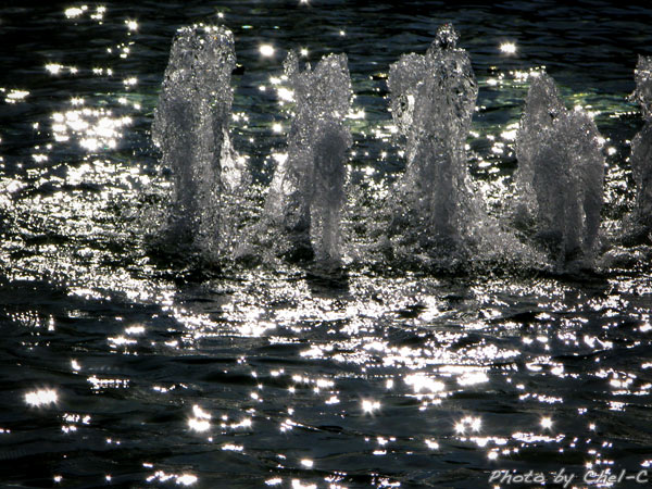 a0154706_1352974.jpg