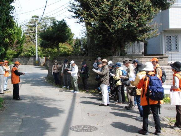 b0273309_1555250.jpg