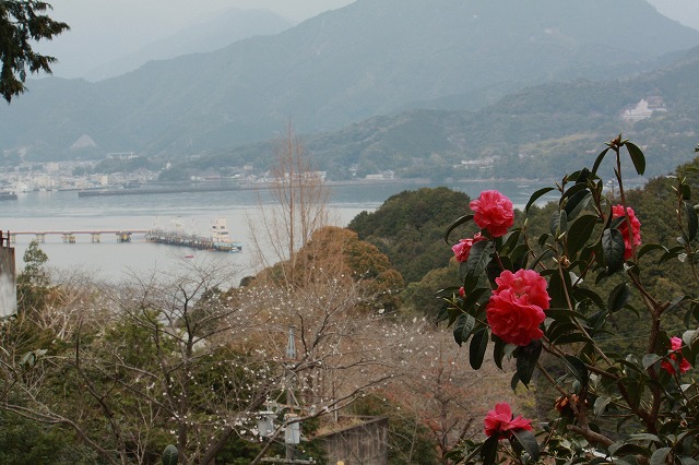 d0154609_11543829.jpg