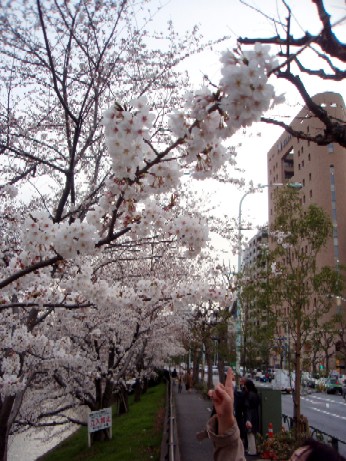 f0043911_1105668.jpg