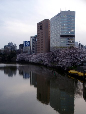 f0043911_1112717.jpg