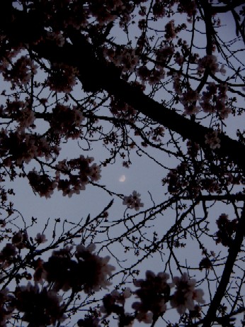 f0043911_111851.jpg