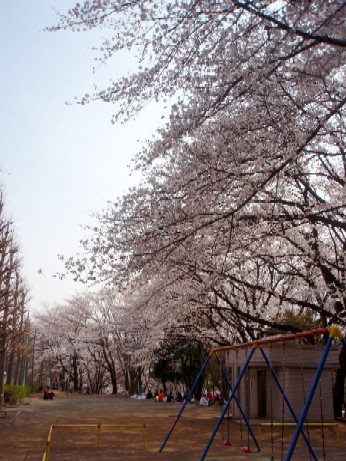 f0043911_1171893.jpg