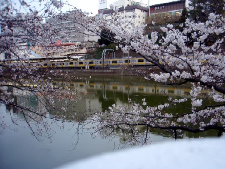 f0043911_194210.jpg