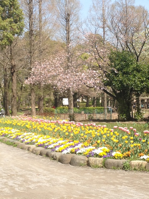 c0087023_2054360.jpg