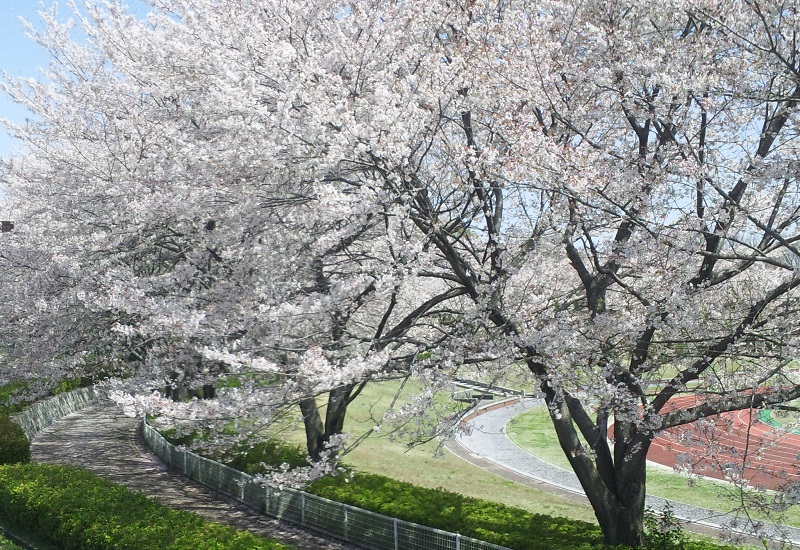 b0199924_145348100.jpg