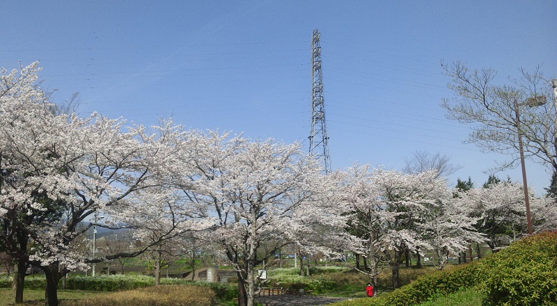 b0199924_14535817.jpg