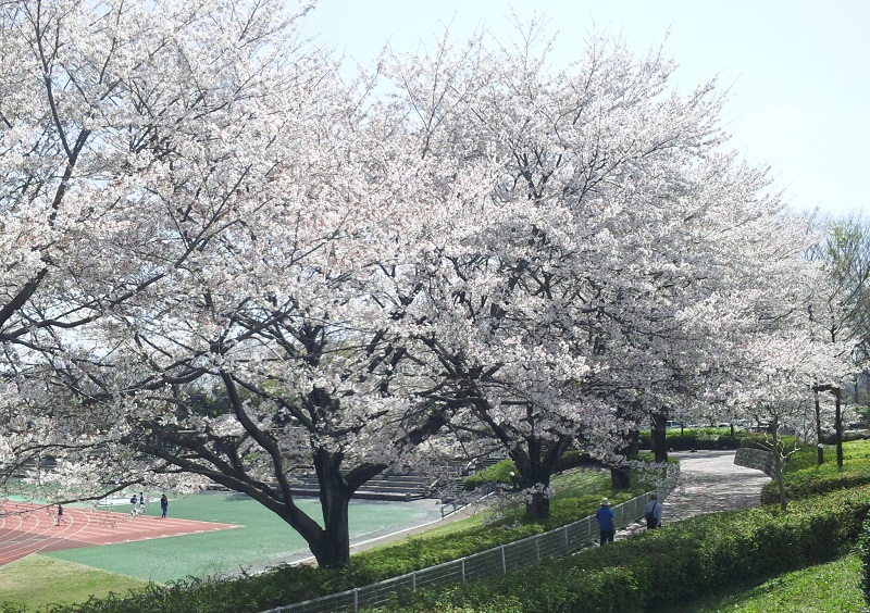 b0199924_1454481.jpg
