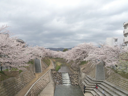 b0162732_16194510.jpg