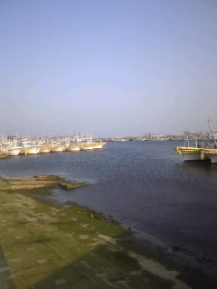 f0118332_20455467.jpg