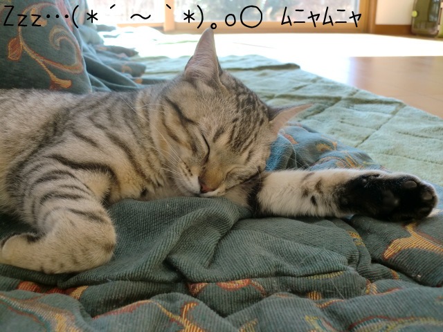 c0259945_6492514.jpg