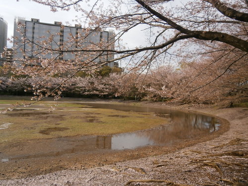 e0121548_143761.jpg