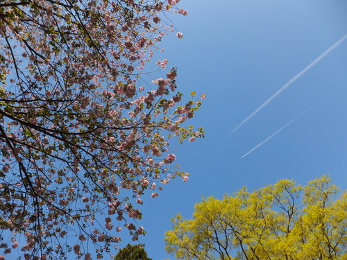 b0177649_21451197.jpg