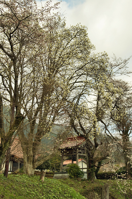 f0214649_1454194.jpg