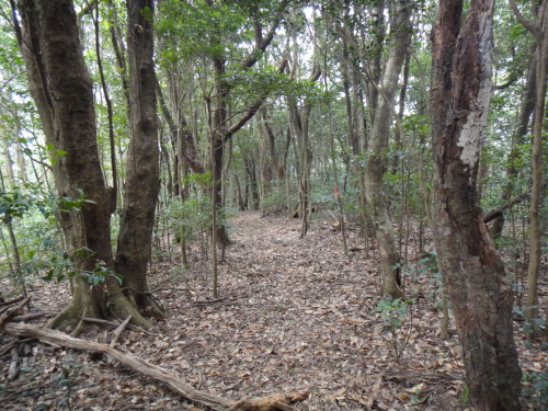 c0179351_18184777.jpg