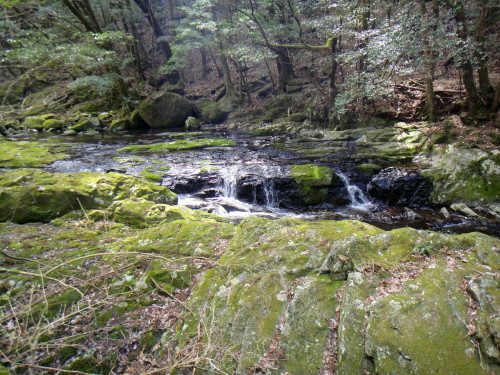 c0179351_18282334.jpg