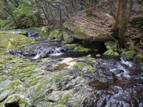 c0179351_1829895.jpg