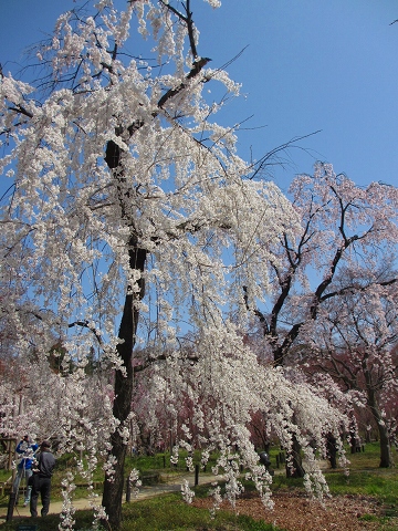 b0145863_1284624.jpg